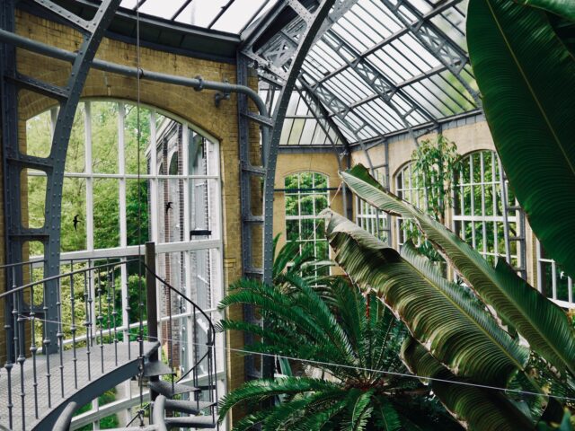 Stop and Smell the Flowers: Hortus Botanicus Amsterdam, One of the Oldest Botanical Gardens in the World