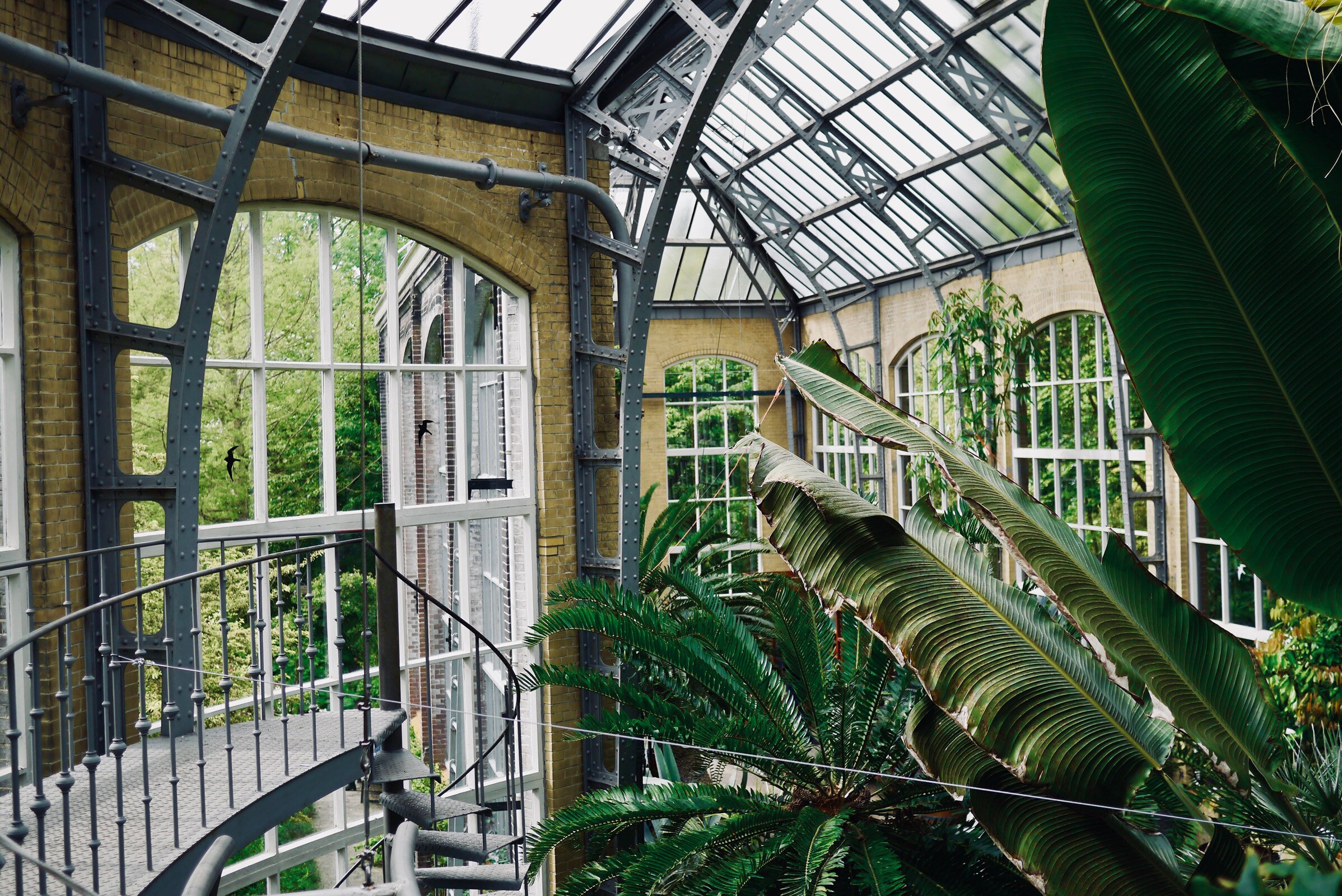 Stop and Smell the Flowers: Hortus Botanicus Amsterdam, One of the Oldest Botanical Gardens in the World
