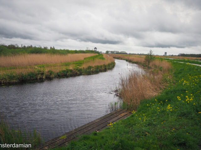 Amazing Winter Walks in the Netherlands to Fight the Winter Blues