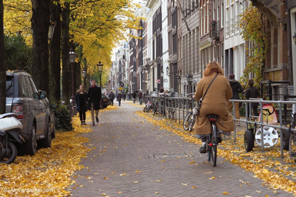 Why visit Amsterdam in October