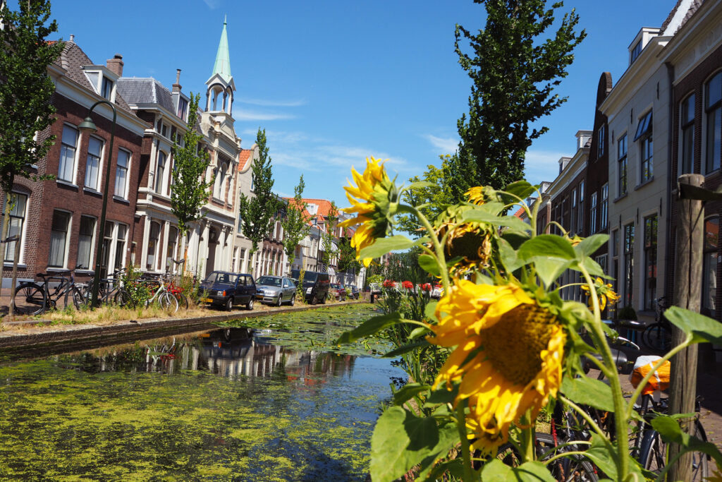 Delft canals in summer