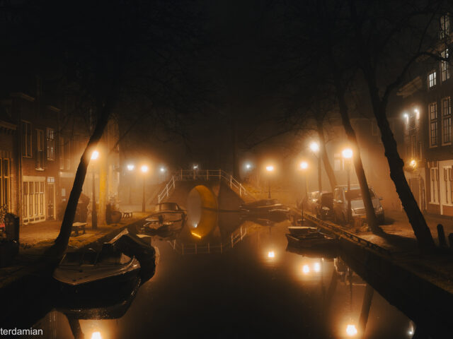 In Praise of Quiet, Foggy Evenings