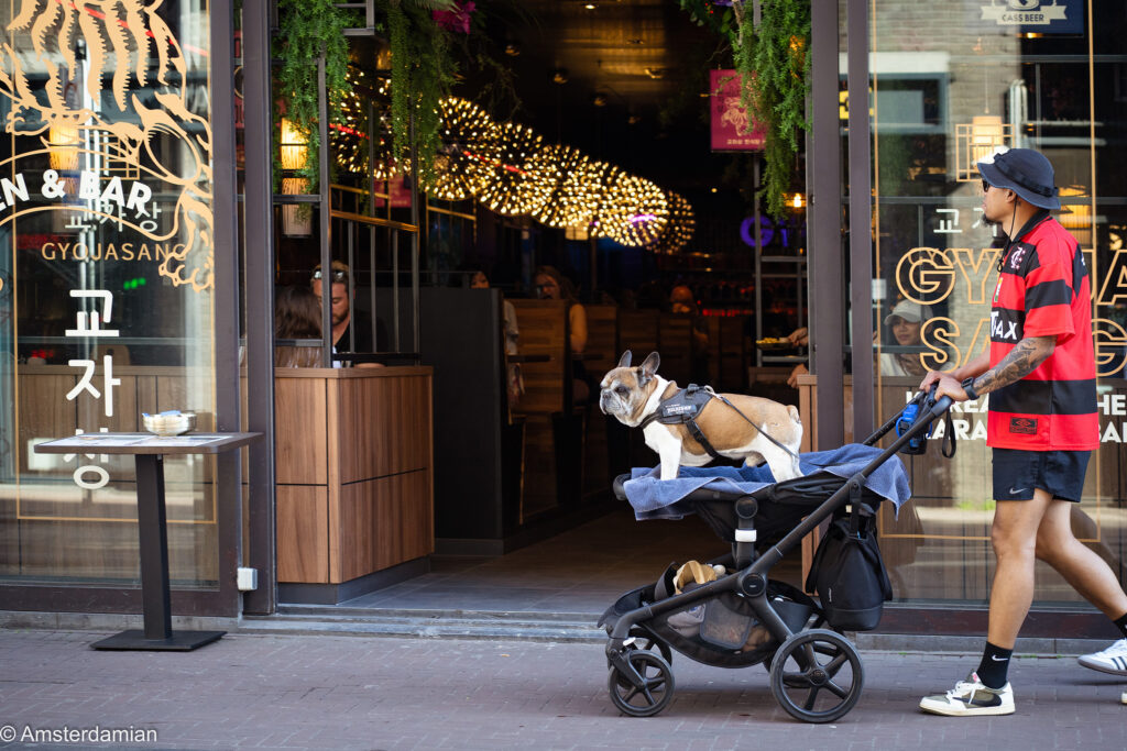 Streets of Amsterdam 2025_03