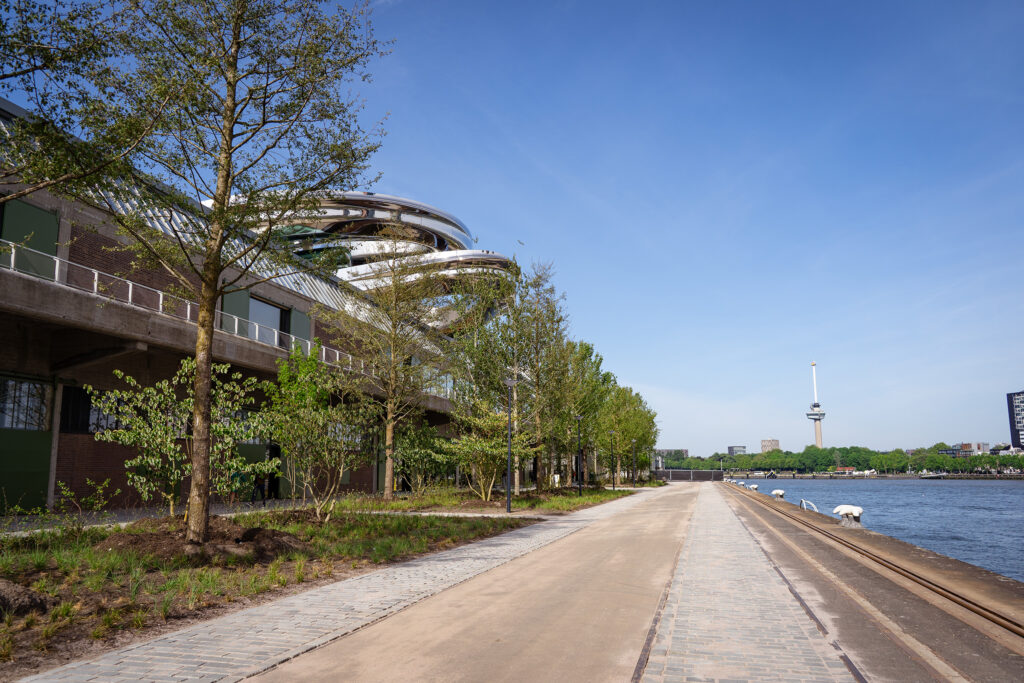 Fenix Museum Rotterdam - the docks