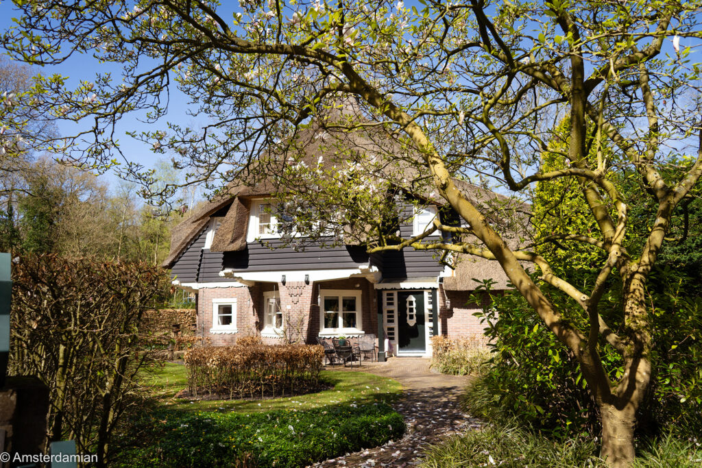Park Meerwijk Bergen 01