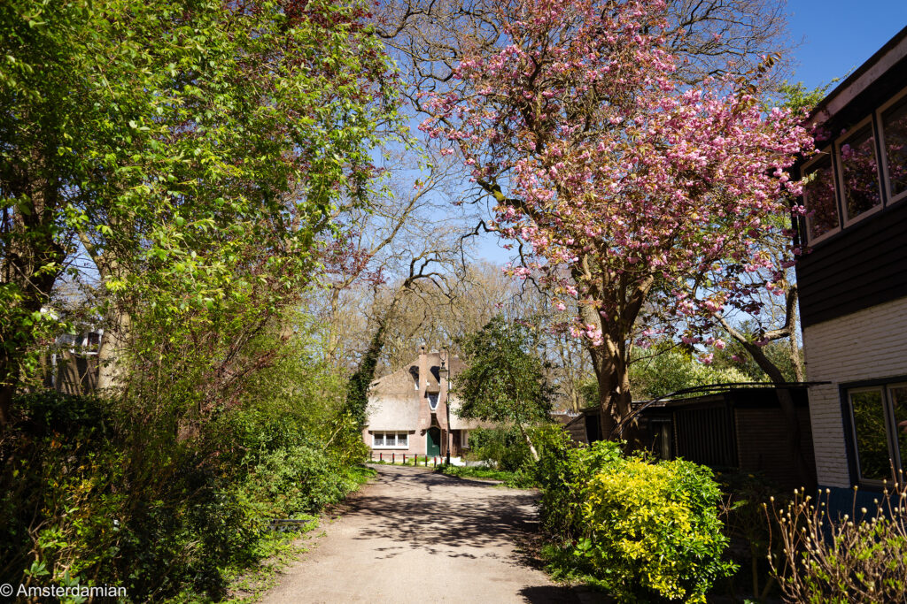 Park Meerwijk Bergen 02
