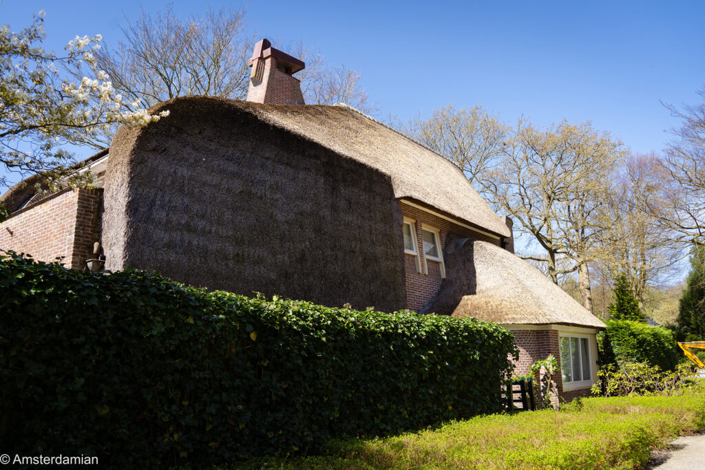 Park Meerwijk Bergen 04