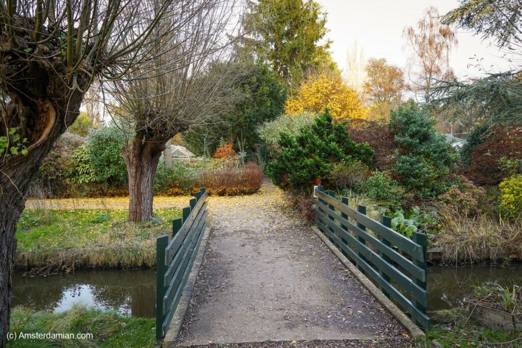 November in Frankendael Park 05