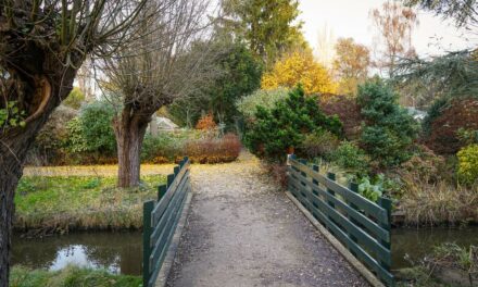End of November in Frankendael Park