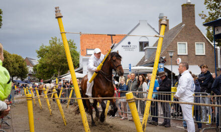 Ring Riding in Zeeland: an Age-Old Tradition