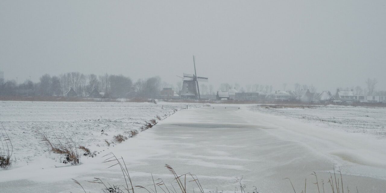 Snow and Windmills