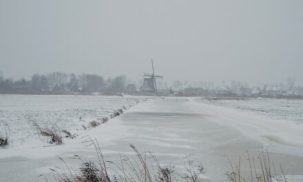 Snow and Windmills