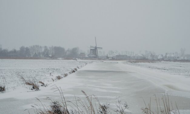 Snow and Windmills