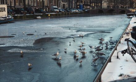 Blue and Gold: 28 Photos from a Frozen Amsterdam
