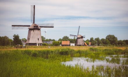 Green Netherlands: Oudorperhout