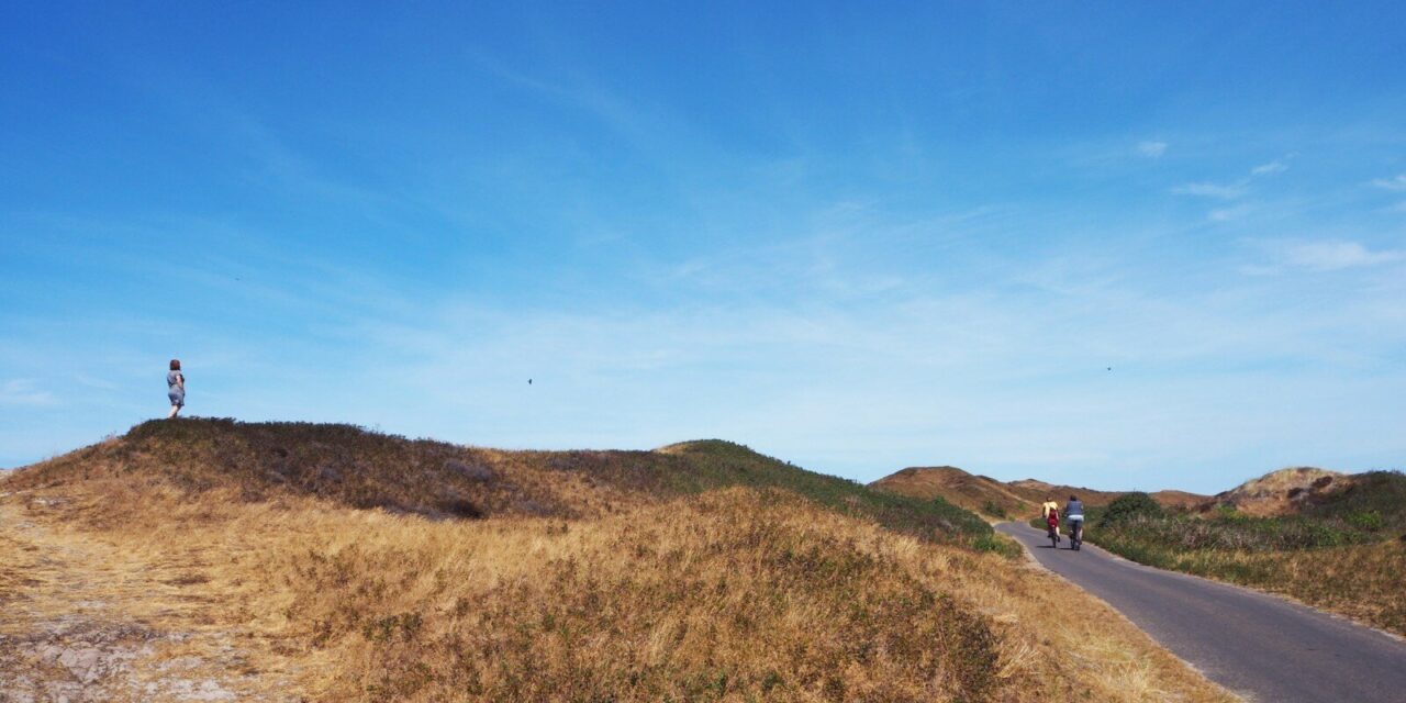 Hiking in the Netherlands: the Amazing Nature on Texel Island