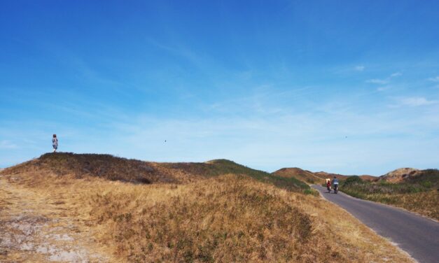 Hiking in the Netherlands: the Amazing Nature on Texel Island