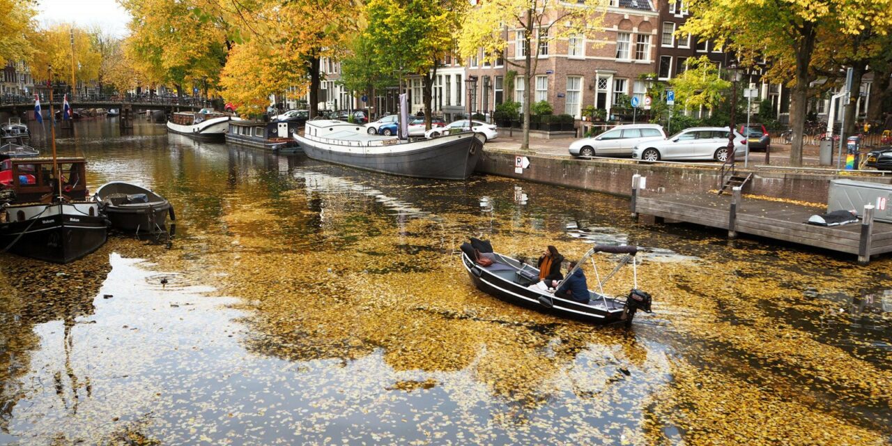 Autumn Colours As Therapy: Amsterdam Streets Covered in Yellow