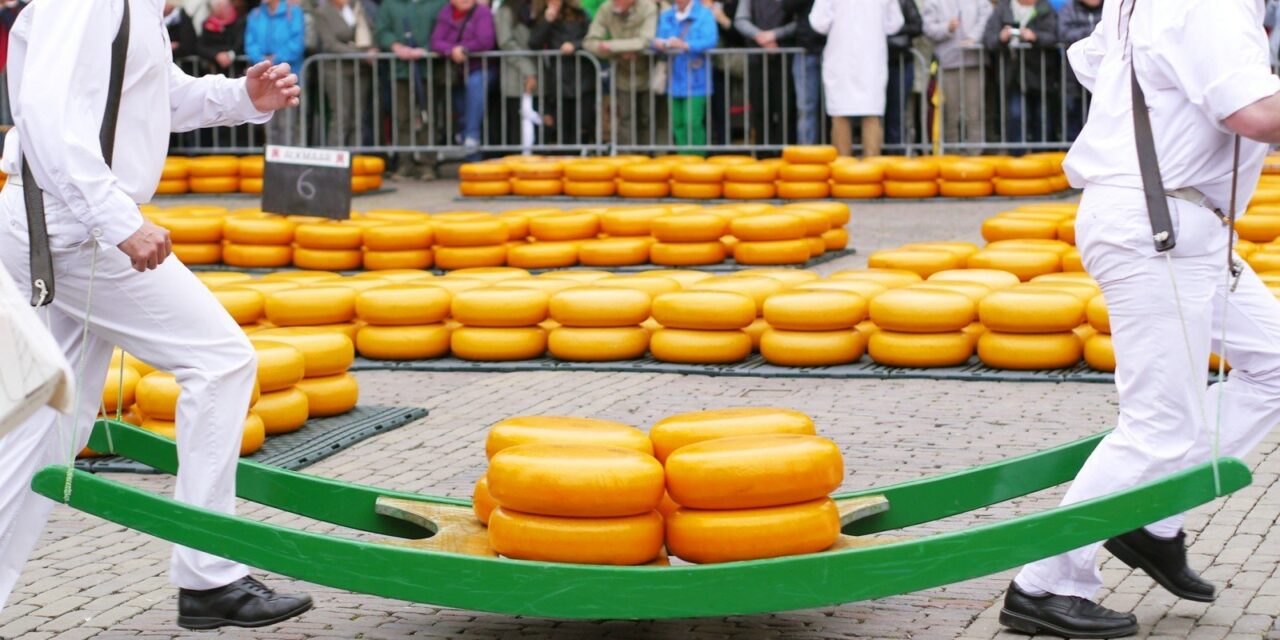 Say Cheese! A visit to Alkmaar Cheese Market