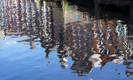 The Best Water Reflections Photos from Last Year