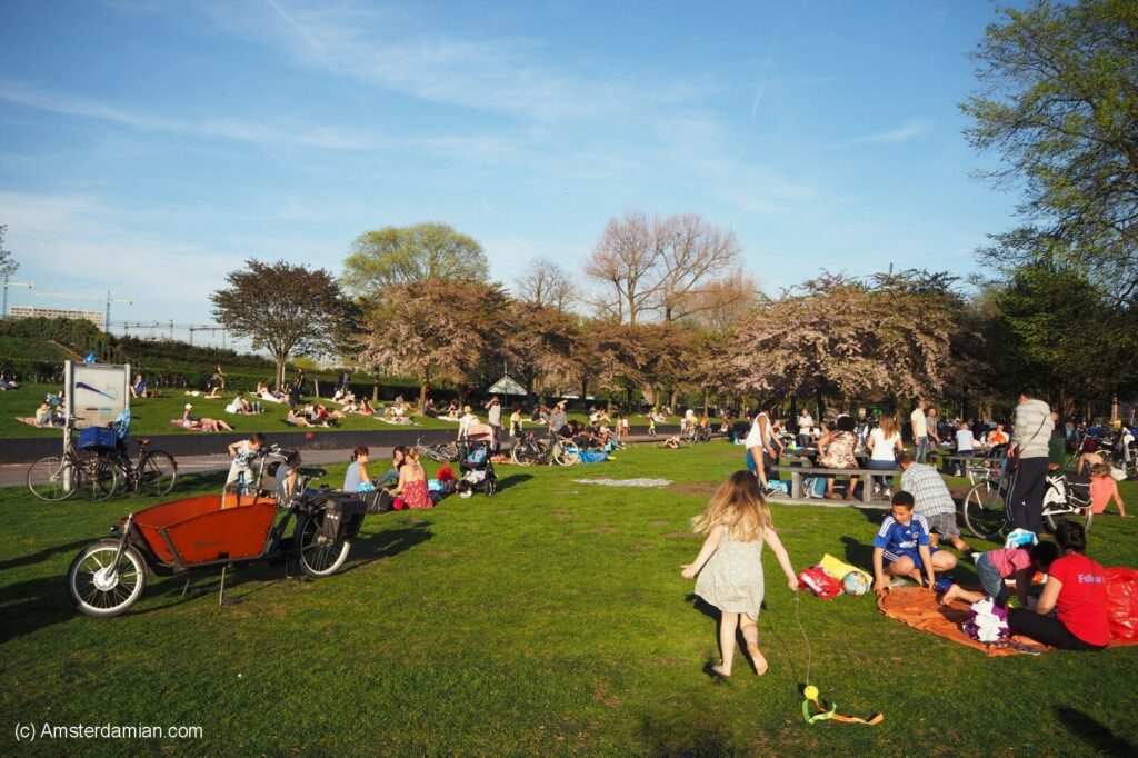 Picnic Westerpark