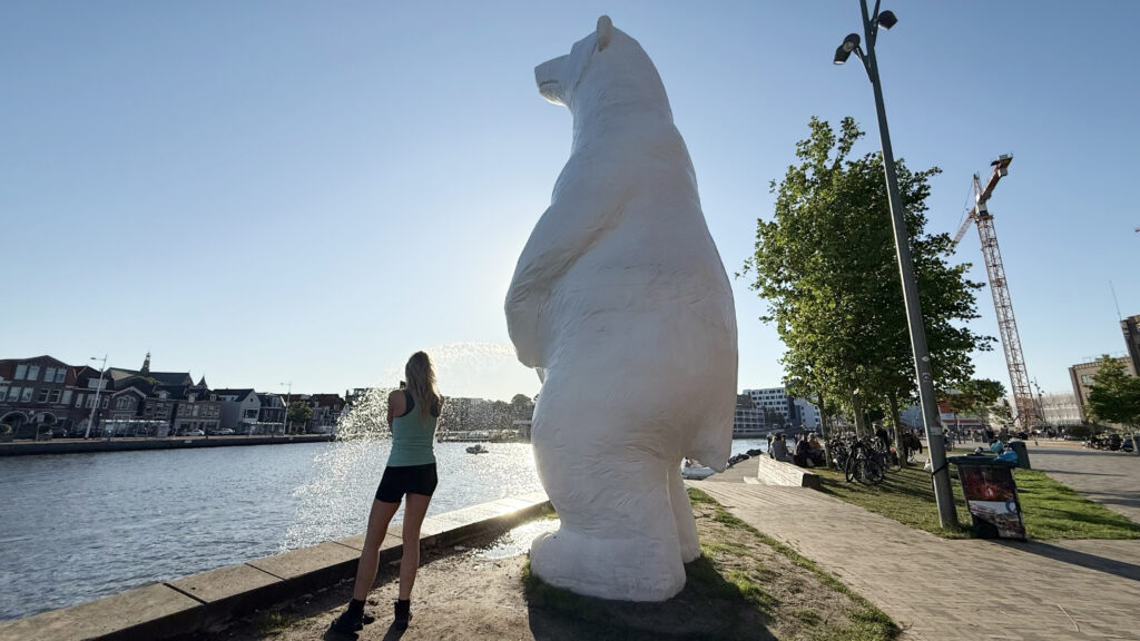 Peeing Bear Alkmaar 01