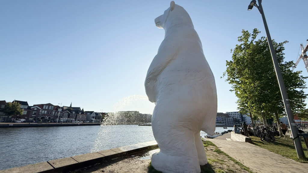 Peeing Bear Alkmaar 02