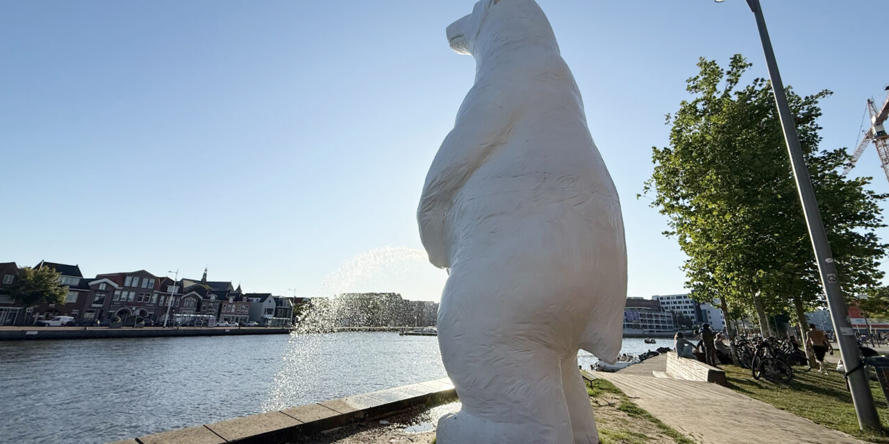 There’s a Polar Bear Peeing in Alkmaar’s Canals