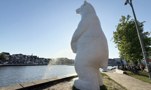 There’s a Polar Bear Peeing in Alkmaar’s Canals