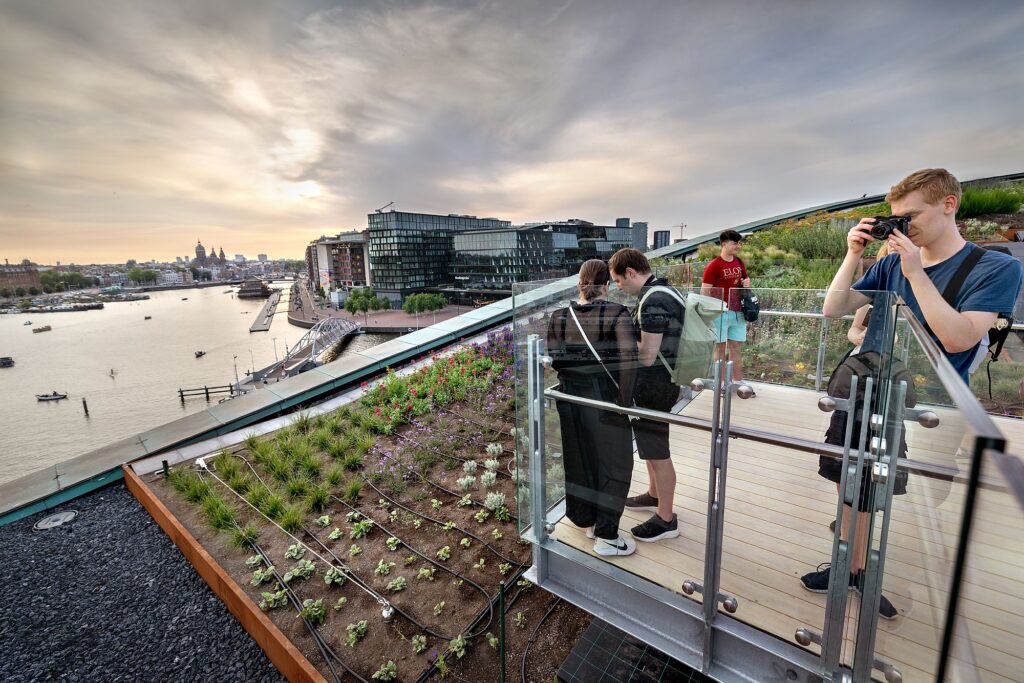 NEMO rooftop