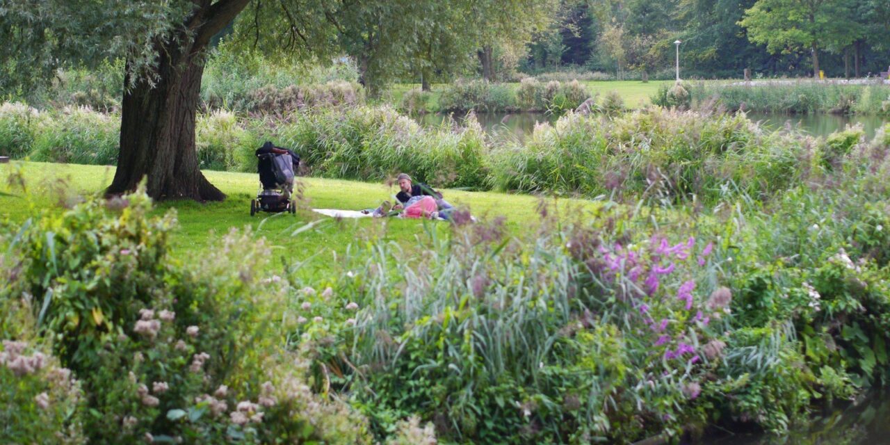 A Green Oasis in the City: Rembrandtpark