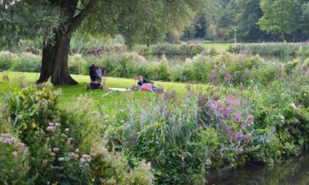 A Green Oasis in the City: Rembrandtpark