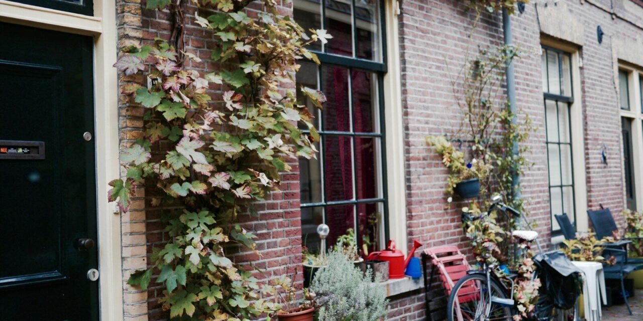 Beautiful entrances in Utrecht