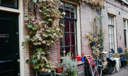 Beautiful entrances in Utrecht