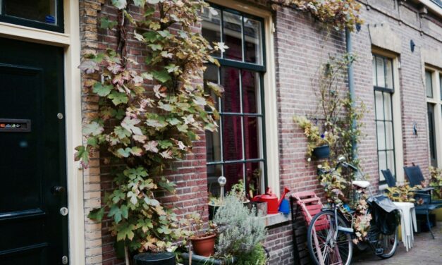 Beautiful entrances in Utrecht