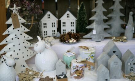 Sunday Market at Westergasfabriek