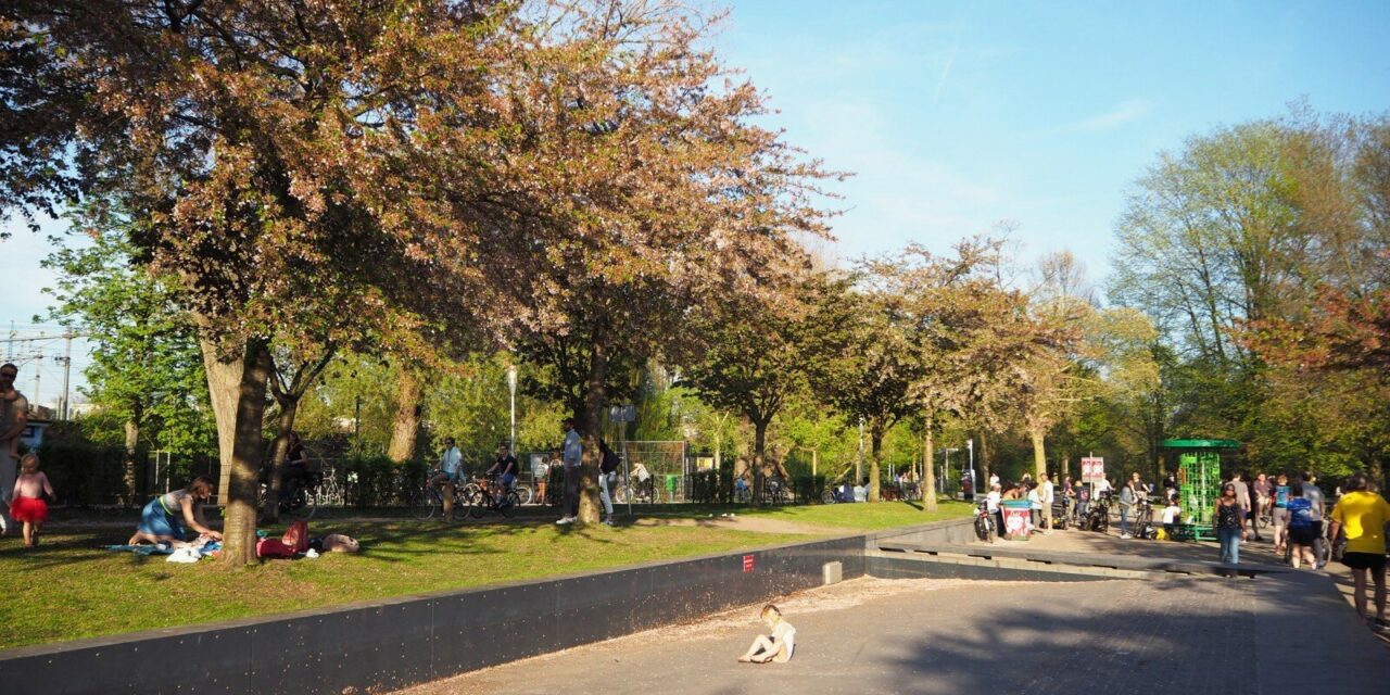 From Winter to Summer: a Heatwave in Amsterdam