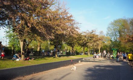 From Winter to Summer: a Heatwave in Amsterdam