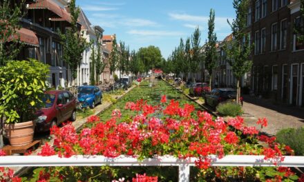 A Summer Fairy Tale in Delft