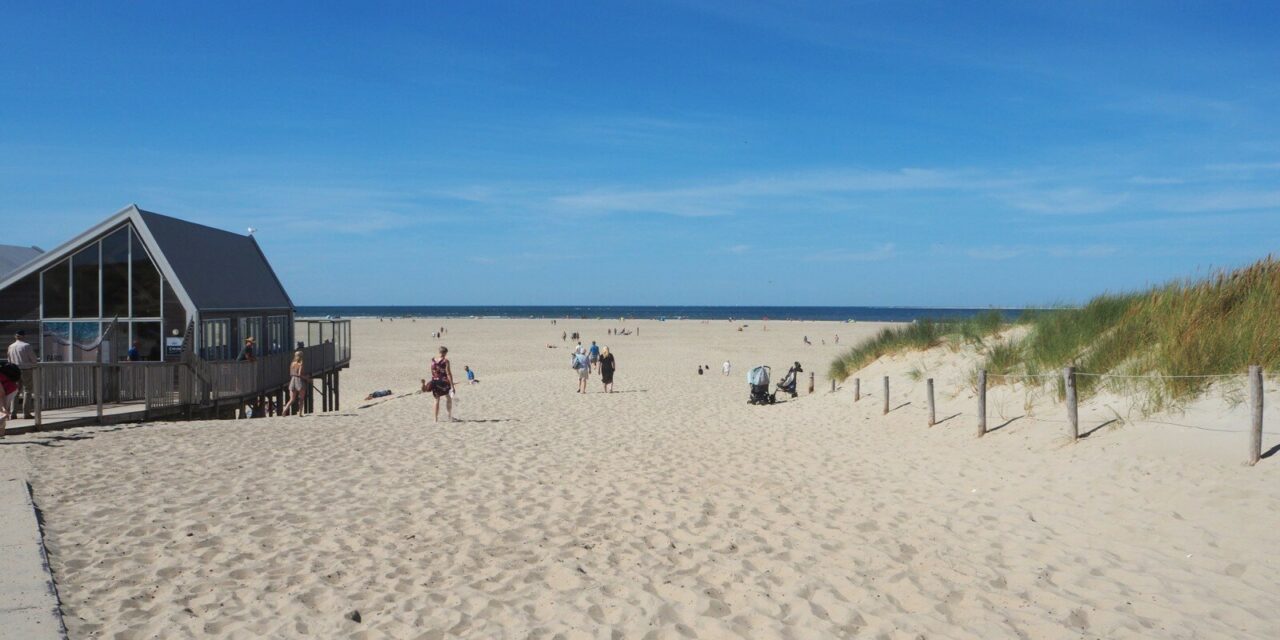 Dunes, Forest and Wide Beaches: a Trip to Texel