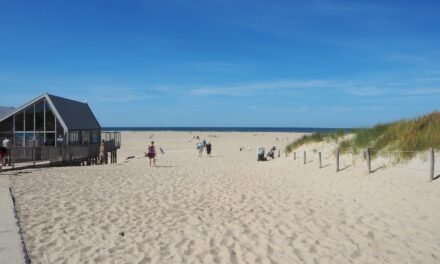 Dunes, Forest and Wide Beaches: a Trip to Texel