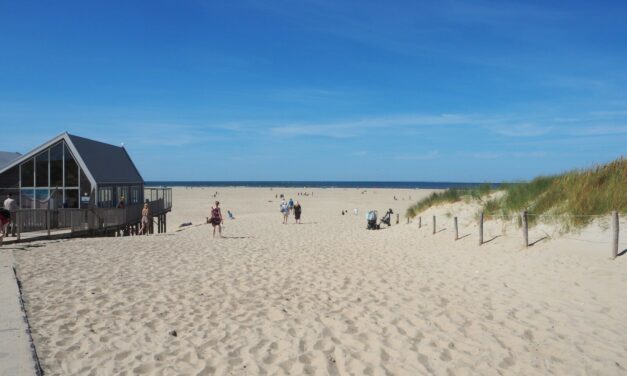 Dunes, Forest and Wide Beaches: a Trip to Texel