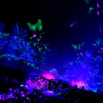 Mesmerica: An Immersive 360° Journey Comes to ARTIS Planetarium