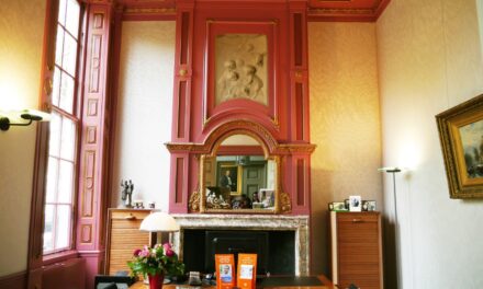 Canal houses — on the inside