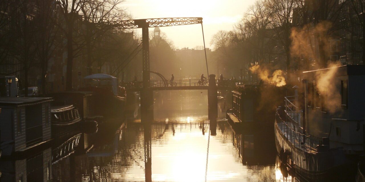 The Magical Light of a Winter Morning
