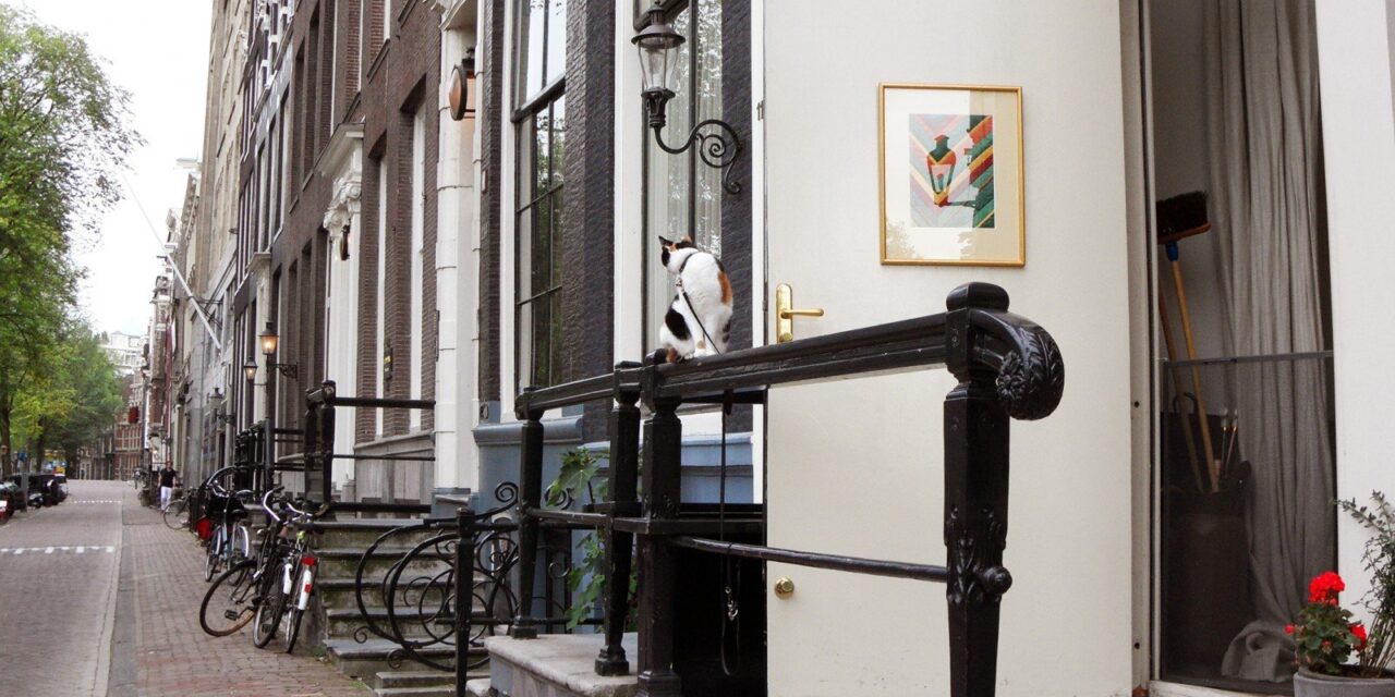 Happy Caturday!