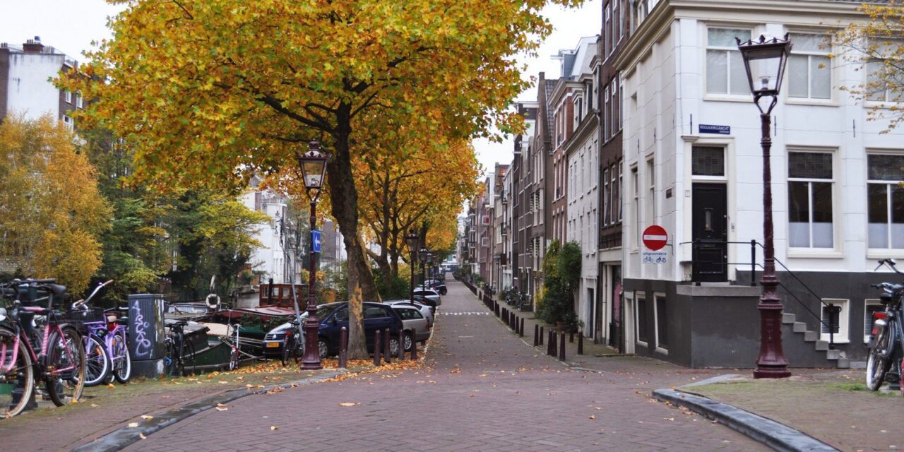 Yellow Amsterdam