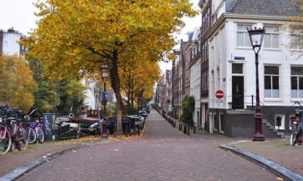 Yellow Amsterdam