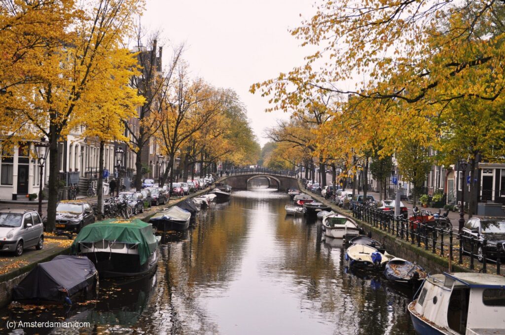 A serene Amsterdam canal scene in autumn, lined with golden-yellow trees and moored boats under a cloudy sky
