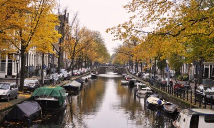 The magic of autumn